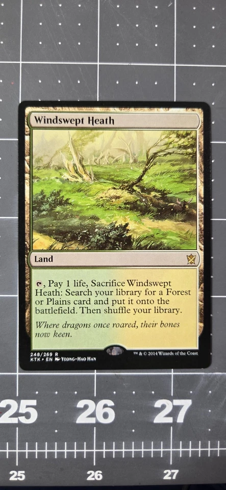 Windswept Heath Khans of Tarkir 248/269 - Image 3 of 4