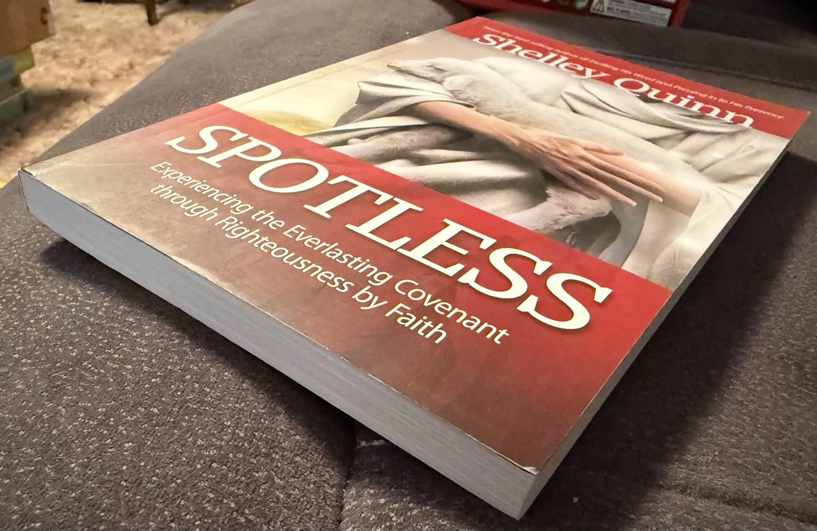 Spotless by Shelley Quinn 2023 3ABN Books First Edition SDA PB image 4