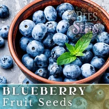 Blueberry Seeds 200, 750 or 3,200 Seeds Fruit Seeds, Non GMO, Bulk Seeds, Berry