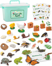 Life Cycle Animal Kit, 32 Piece Montessori Science Toy, Frog, Ladybug, Butterfly
