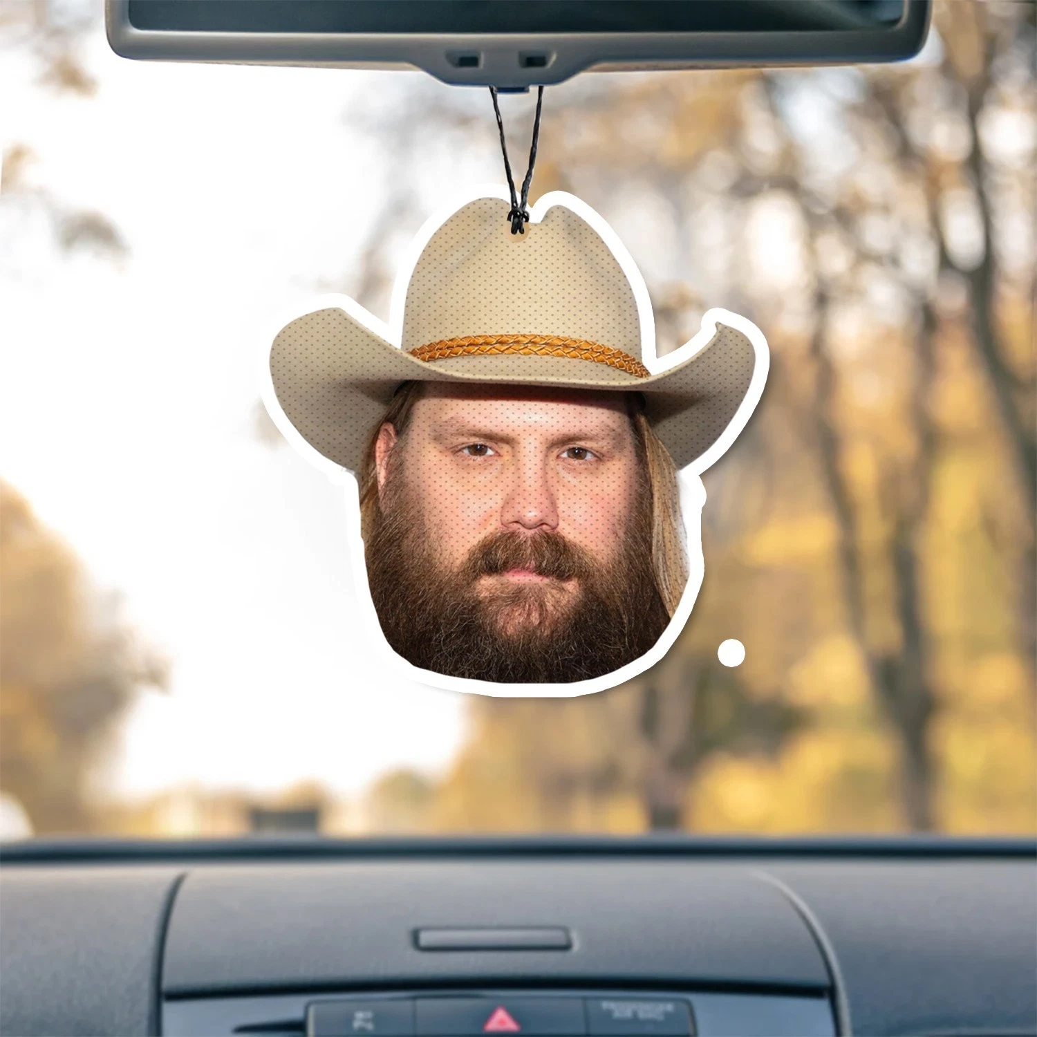 Chris Stapleton Unscented Hanging Car Air Freshener Freshie