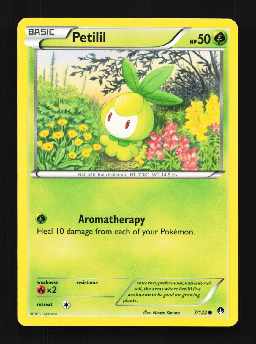 Petilil 7/122 NM BREAKpoint English Pokemon Card TCG