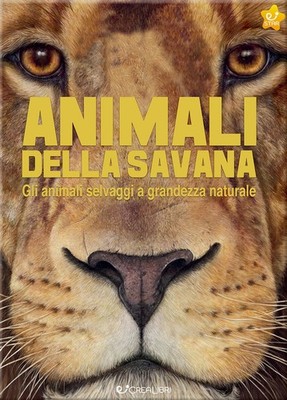 Beatrice Meregh Animali della savana. Gli animali selvaggi a (Gebundene Ausgabe)