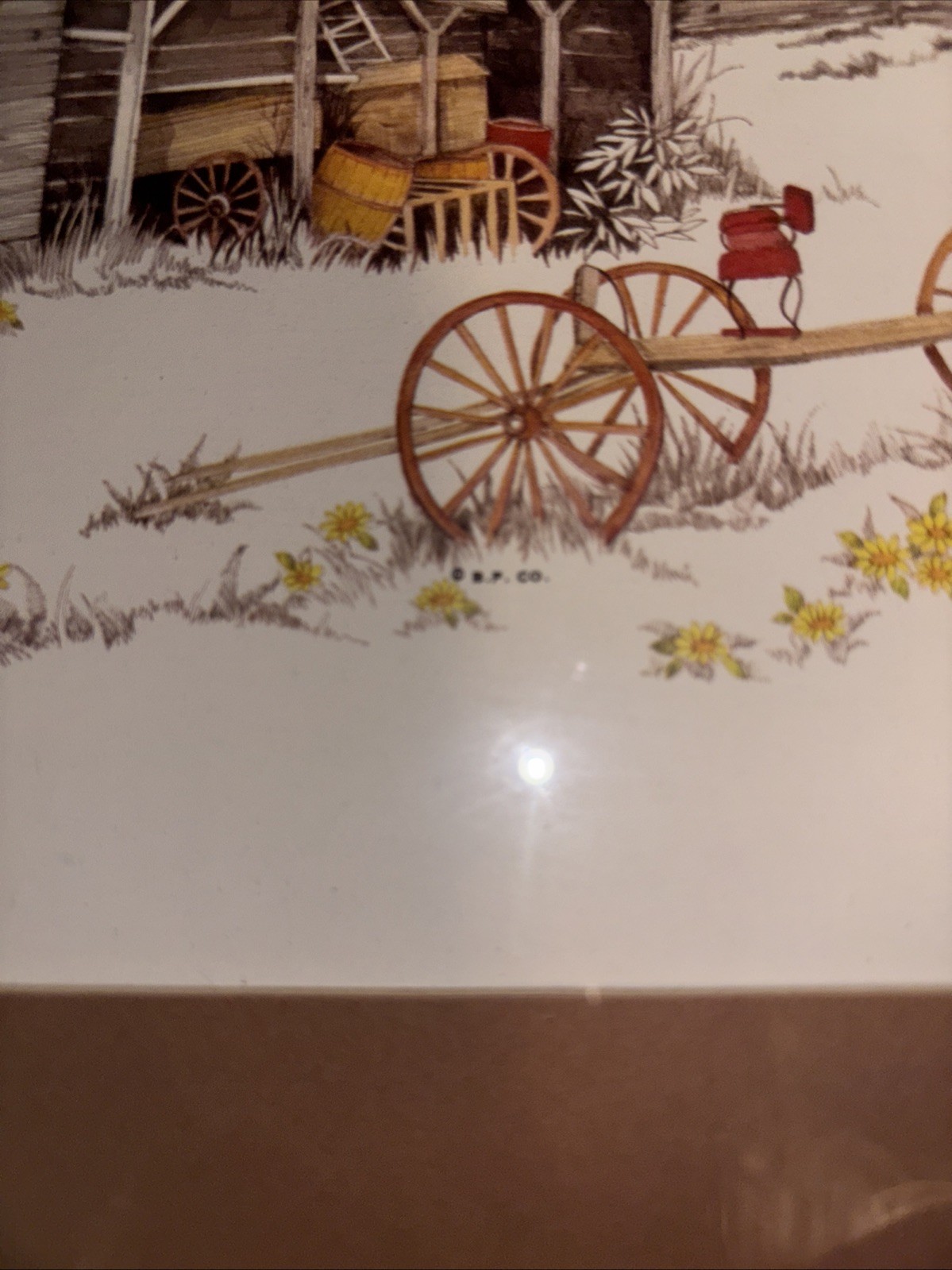Picture 6 of 12