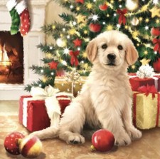 2 X Puppy Waiting For Presents Single Paper Napkins Ideal for Art Decoupage 114