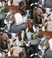 Farm Animals Fabric - Packed Goats - Elizabeth's Studio YARD