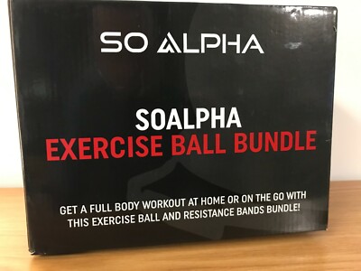 sporting goods soalpha exercise ball
