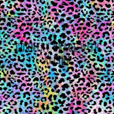 Sublimation Print Rainbow Leopard Full Page Ready to Press Heat Transfer