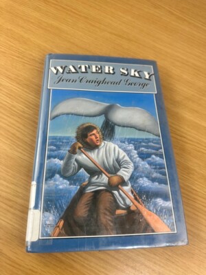 Water Sky by Jean Craighead George Eskimo Whaling YA Fiction (1987, Hardcover)