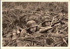 WW2 WWII German Military Heer Wehrmacht Postcard Elite Camouflage Unit in Action