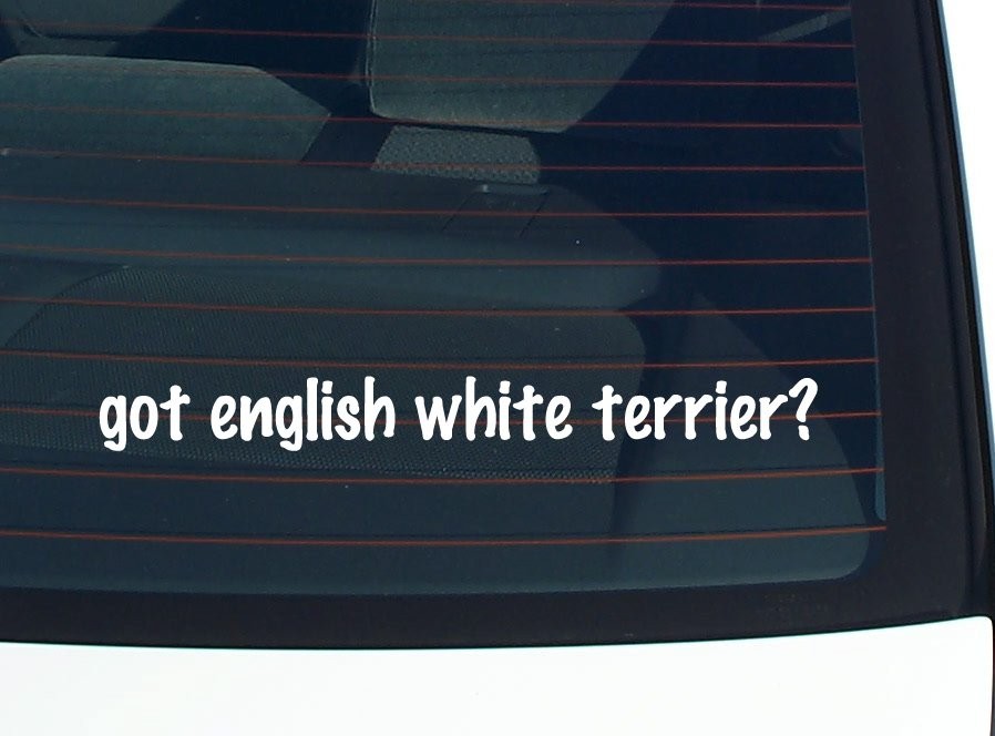 English White Terrier Car Decal Bumper Sticker Vinyl Window Joke