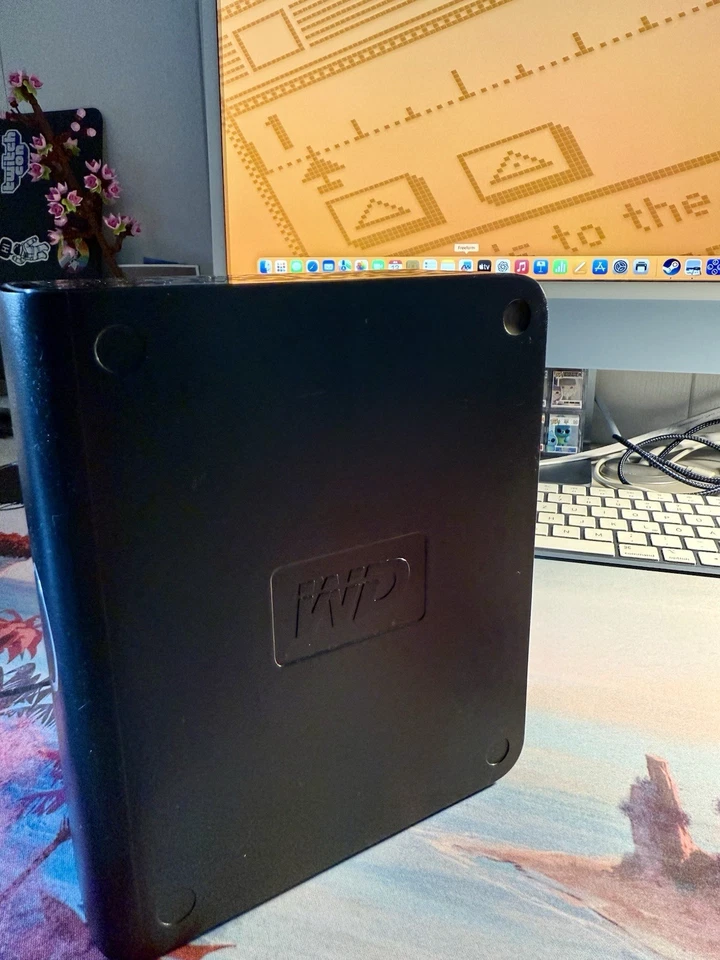 Western Digital WD WD25001032-001 Externe Festplatte.