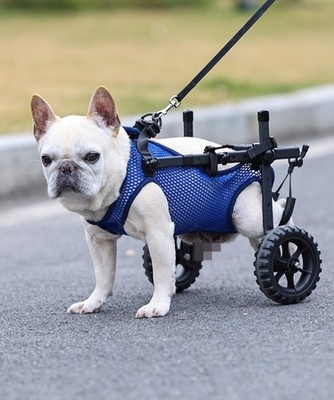 Adjustable Dog Wheelchair for Back Legs Upgraded 5.5'' Wheel Mobility Aid XS