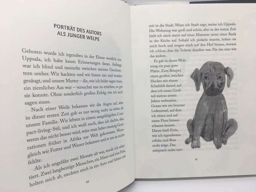 Thumbnail - Håkan Nesser / Nortons Philosophische Memoiren9783442757497