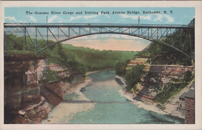Rochester, NY: Genesee River Gorge & Driving Park Ave Bridge - New York Postcard