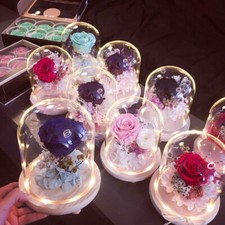 Small Large Glass Display Cloche Bell Jar Dome with Wooden Base Multi/Warm White