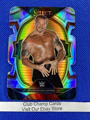 2023 #9 Diamond Dallas Page Select WWE Legends Concourse Silver Die-Cut Prizm