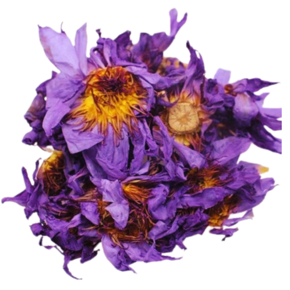 Dried Blue Lotus Flowers Nymphaea Caerulea Pure 100% Organic Herbal Hand Picked