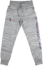 Big Boy Delaware State Hornets S2 Womens Jogger Pants