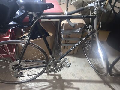 raleigh capri 410 steel