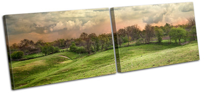 Landscape Countryside Field Canvas Art Picture Print Decorative Photo