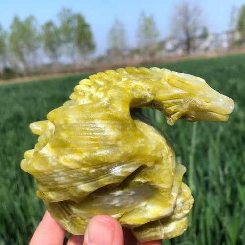 1.05LB Natural peridotone Flying Dragon Skull Quartz crystal Carving XK3579-05-A - Picture 8 of 17