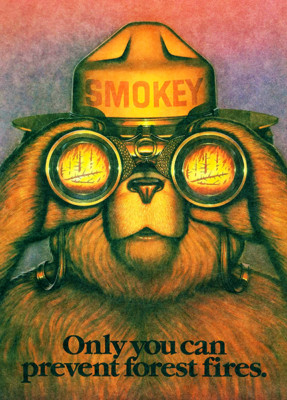 Smokey The Bear - Only You Can Prevent Forest Fires - 1987
