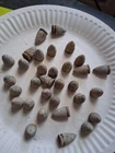 30 Dropped 50 cal. Maynard carbine Civil War Bullet Lot.
