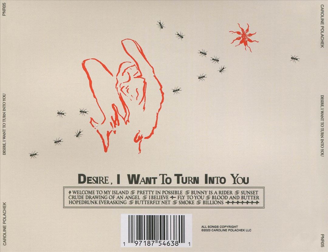 CAROLINE POLACHEK / DESIRE, I WANT TO〜 Caroline Polachek – Desire, I Want To Turn Into You – Vinyl
