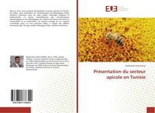 Mohamed Chouchaine | Présentation du secteur...