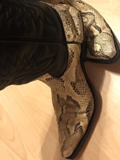 Gayle Snake Coyote Sendra Cowboystiefel 45
