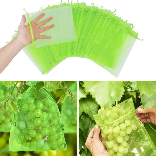 5 Sizes Fruit Fly Net Insect Mesh Vegetable Garden Plant Crop Protection Bags AU - Picture 12 of 19