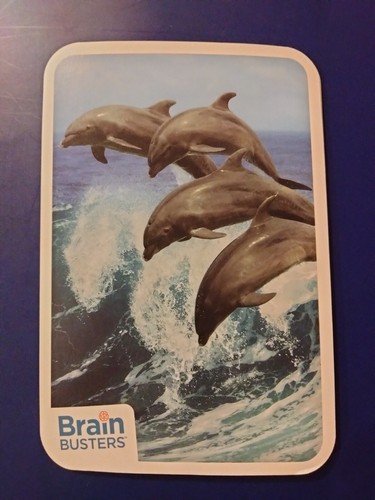 Papp Int. Brain Busters 2018 OCEAN LIFE🦀 you pick Jumbo flash cards Free Ship - Picture 3 of 6