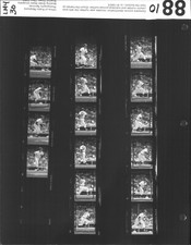 LD255-63 ORIGINAL Contact Sheet 1989 MLB Detroit Tigers Mike Brumley Rick Schu
