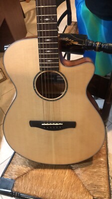 Ibanez AEG200 - Acoustic Electric LGS guitar NEW With GIG bag | eBay