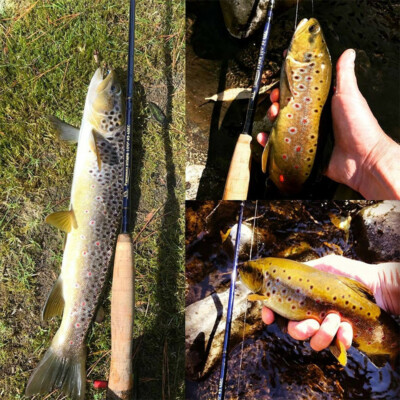 2 3 4wt fly fishing rod 2/3/4WT Nymph Fly Fishing Rod Kit 10FT Moderate Fast Action Nymph Fly Rod  combo