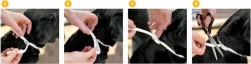 Halsband¹Schutz Hund Floh Zecke 48 oder 65 cm maximaler Schutz 12 Monate 1 Stück - Bild 4 von 9