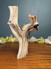 10  Manzanita Driftwood Branch, Aquarium Terrarium Aquascaping Decor, Home Decor