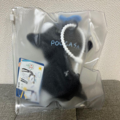 Gmmtv Taynew POLCASAN Doll Key Chain Plush Stuffed Toy With Photo