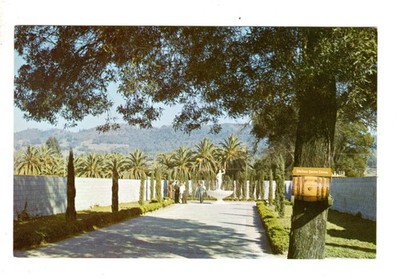 Italian Swiss Colony Winery Conducted Tours Asti California Postcard CA