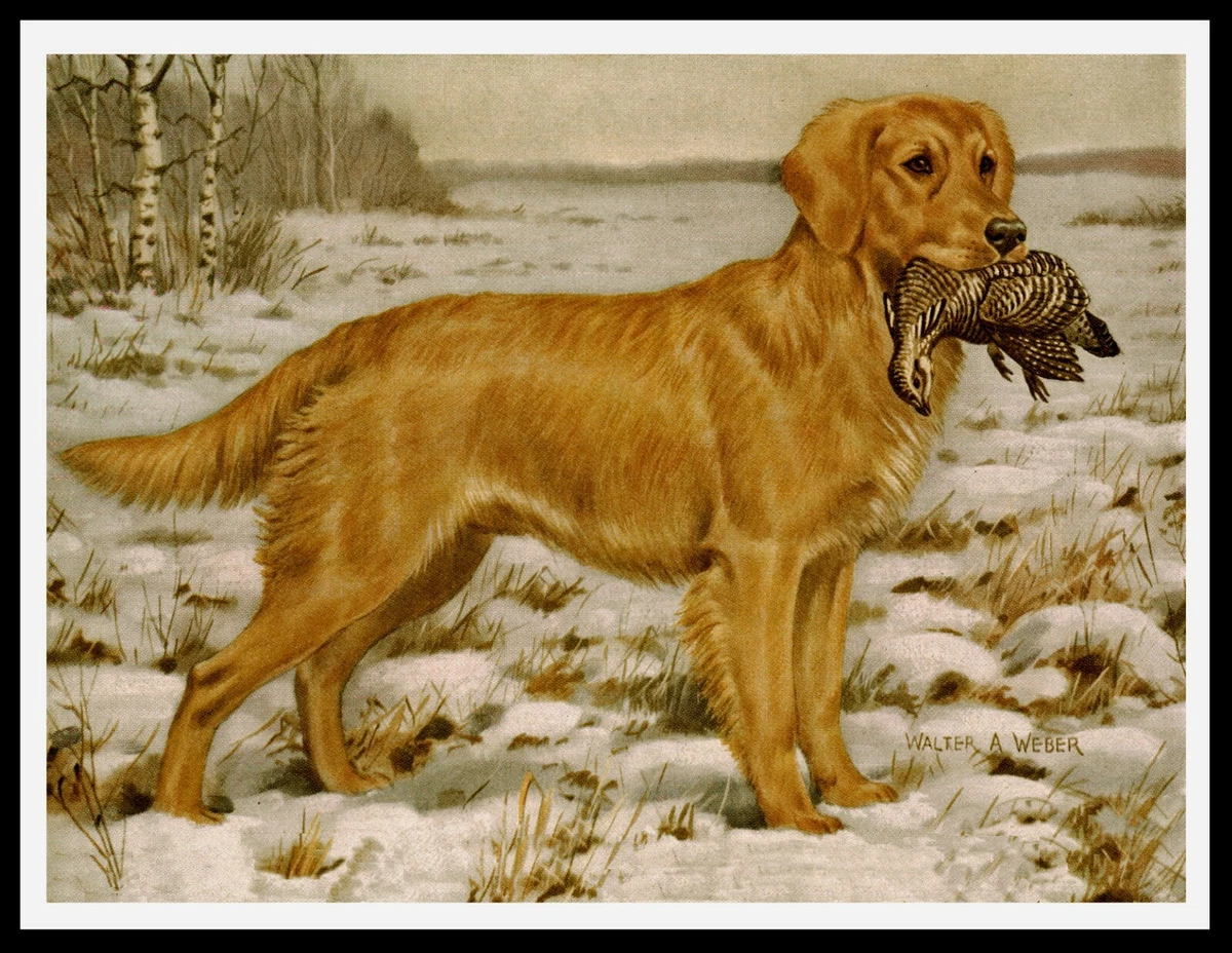 GOLDEN RETRIEVER DOG BIRD SNOW SCENE LOVELY VINTAGE STYLE DOG ART PRINT POSTER