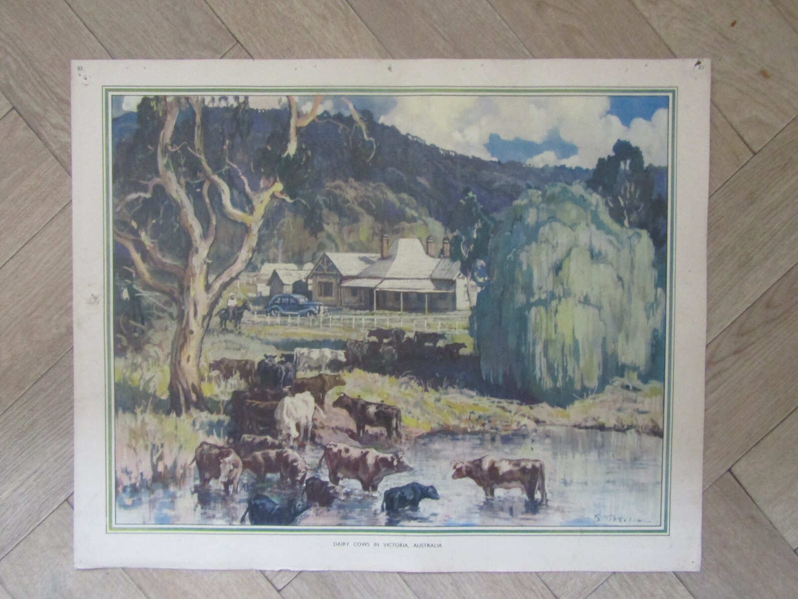 Picture 1