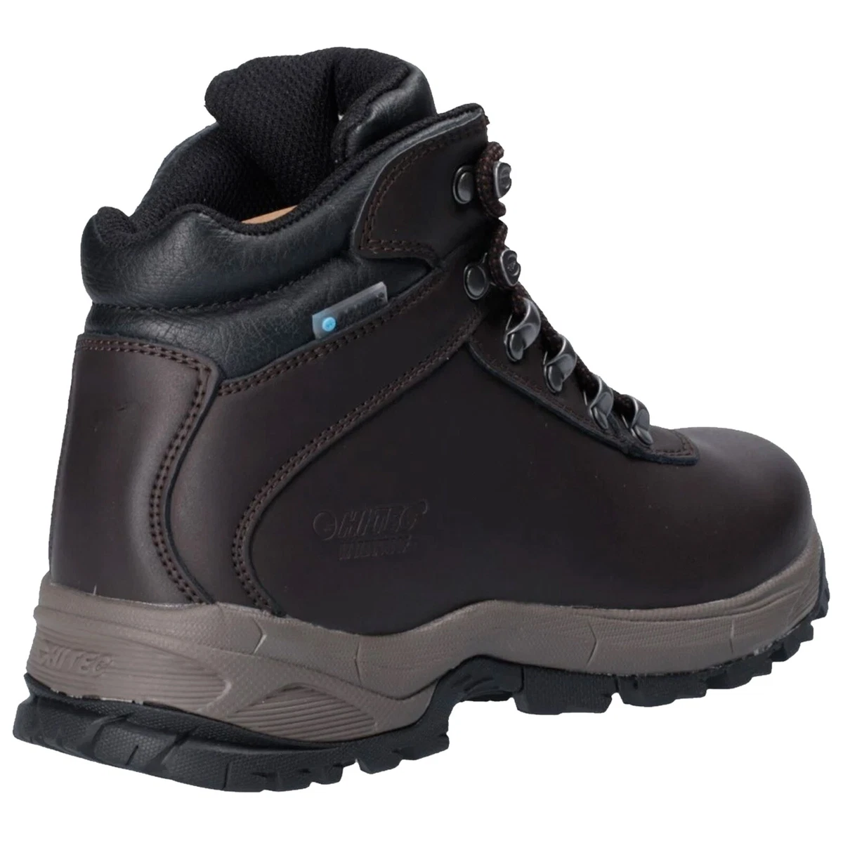 Eurotrek lite new arrivals