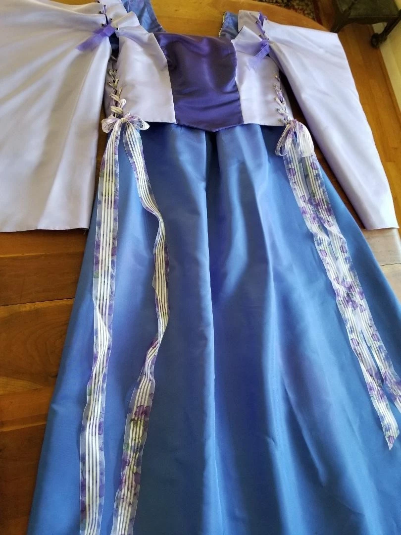 Blue Dress Medieval and Renaissance Costumes for sale