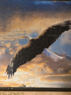 #ad Christian Wall Plaque Isaiah 40:31 Eagles Bible Verse Religious Decor 8x8 $22.99