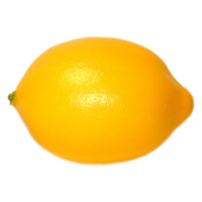 Lemonplet レモンプレット ロンハーマン別注 エコファー イエロー S merci🕊🕊 @lolita_rose #lemonplet#レモンプレット #エコファー#エコ