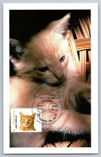 #4460 Animal Rescue Adopt Orange Tabby Cat Maxi Card w/Pictorial Cancel