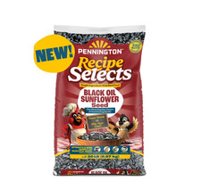 Select Black Oil Sunflower Seed Dry Wild Bird Feed, 20 Lb. Bag, 1 Pa