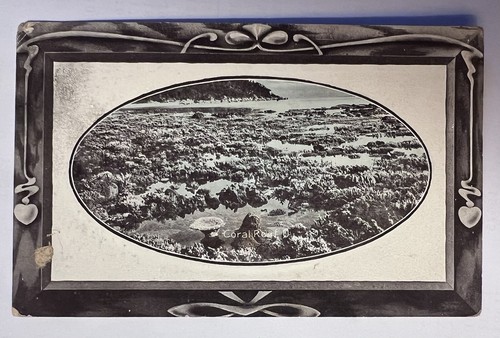 Coral Reef, Q (Queensland), Australia. Vintage Postcard.
