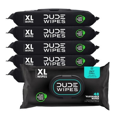DUDE Wipes Flushable Wipes - 6 Pack, 288 Ct - Mint Chill w/ Vit-E & Aloe